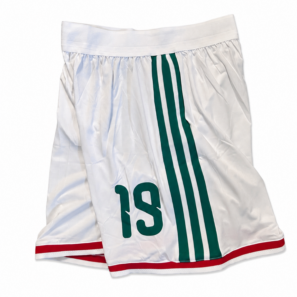 MEXICO WORLD CUP SHORTS